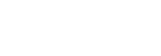 RAE 2020 logo